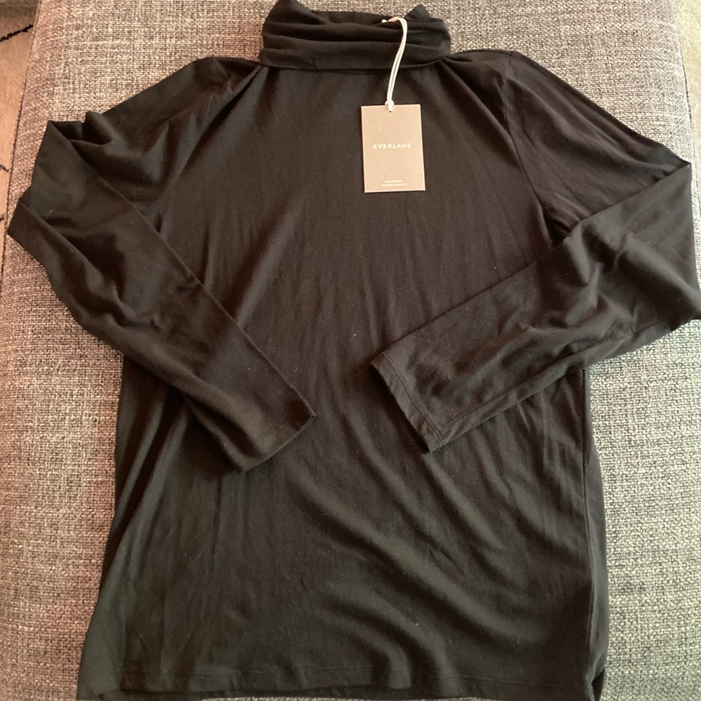 Everlane Organic Cotton Turtleneck